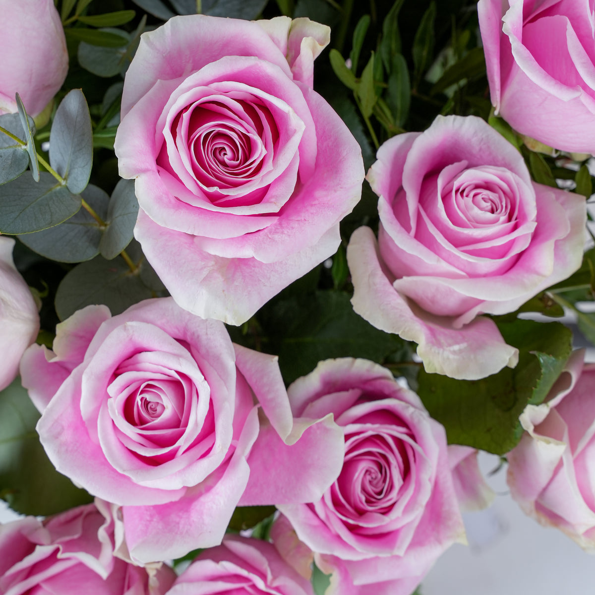 100 Pink Roses - Vase