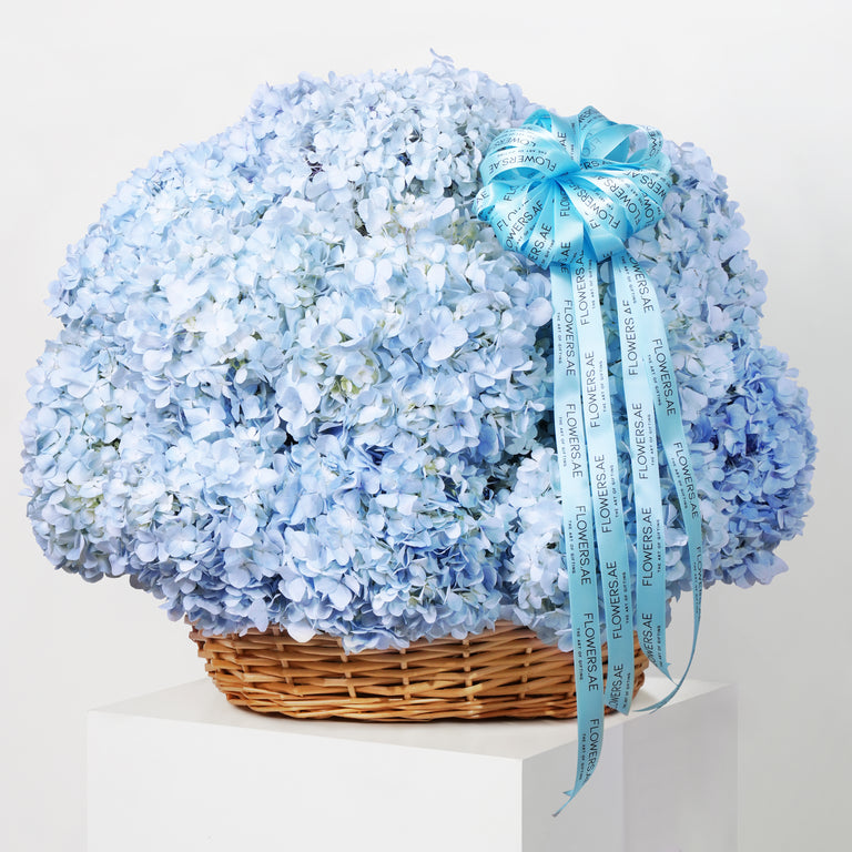 Blue Hydrangea Basket