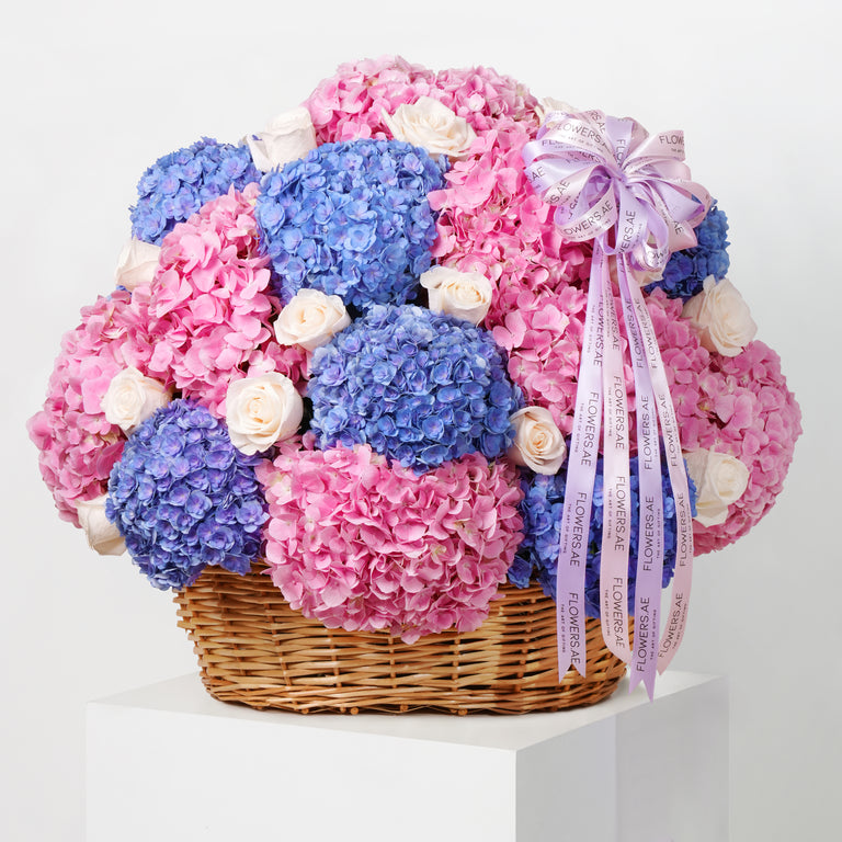 Blush Hydrangea Basket