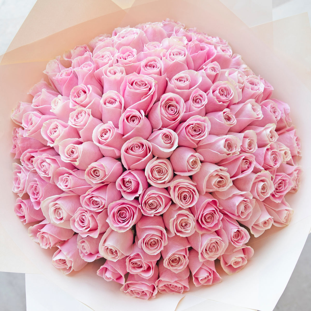 100 Pink Roses