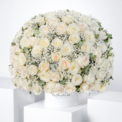 Congratulations Bianca Hatbox