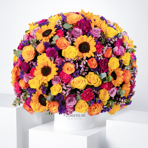 Congratulations Clara Hatbox