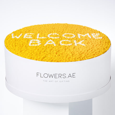 Welcome Back XXXL Hatbox