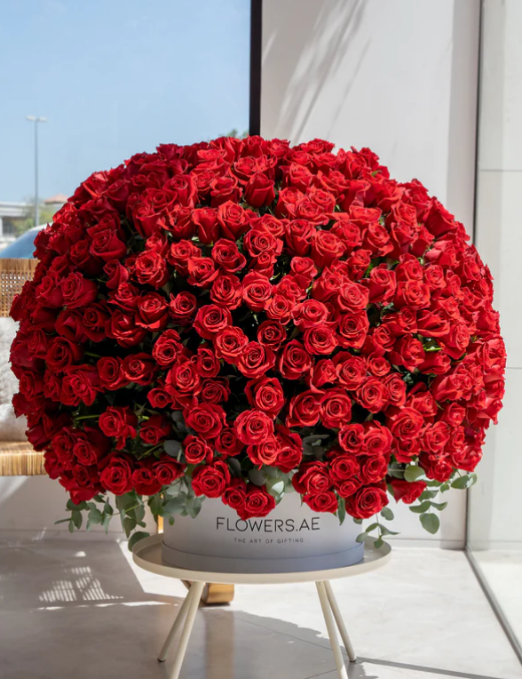 Unveiling the Captivating World of Roses