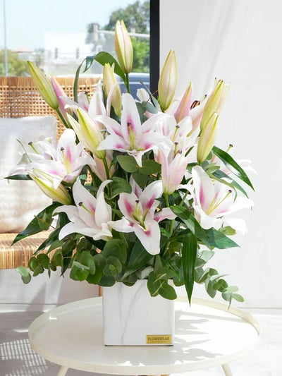 Guide to Lily Flowers