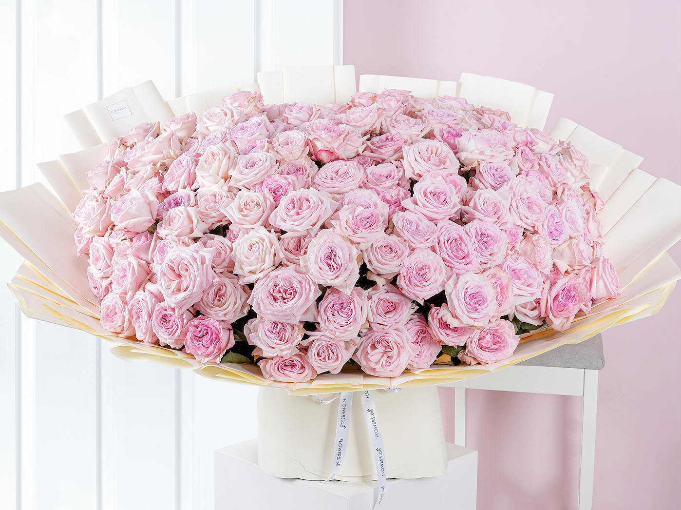 Introducing the Most Exclusive O'Hara Roses in White and Pink - Only at FLOWERS.AE