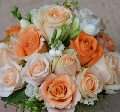The Wonders of Orange and Peach Roses