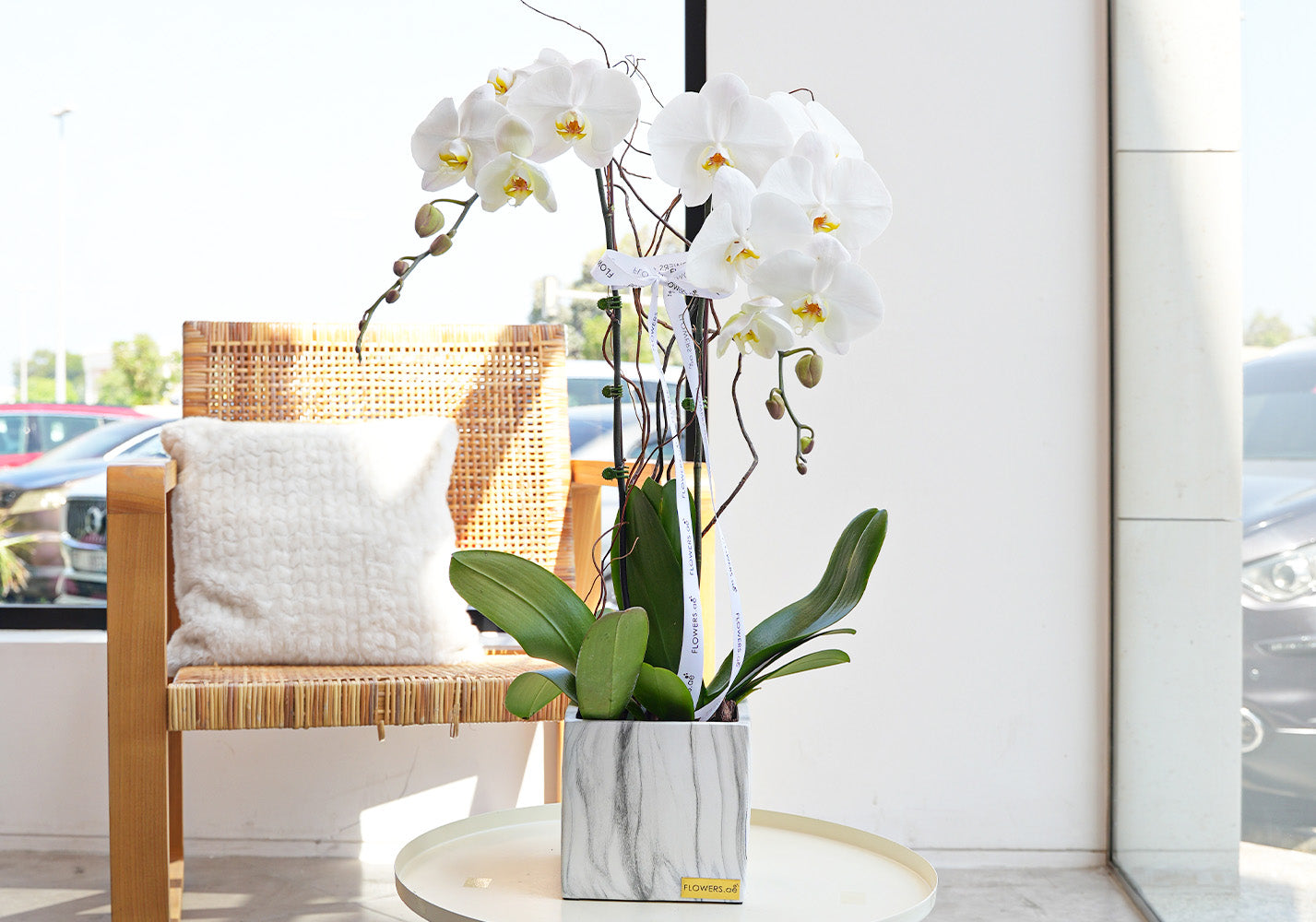 orchids dubai