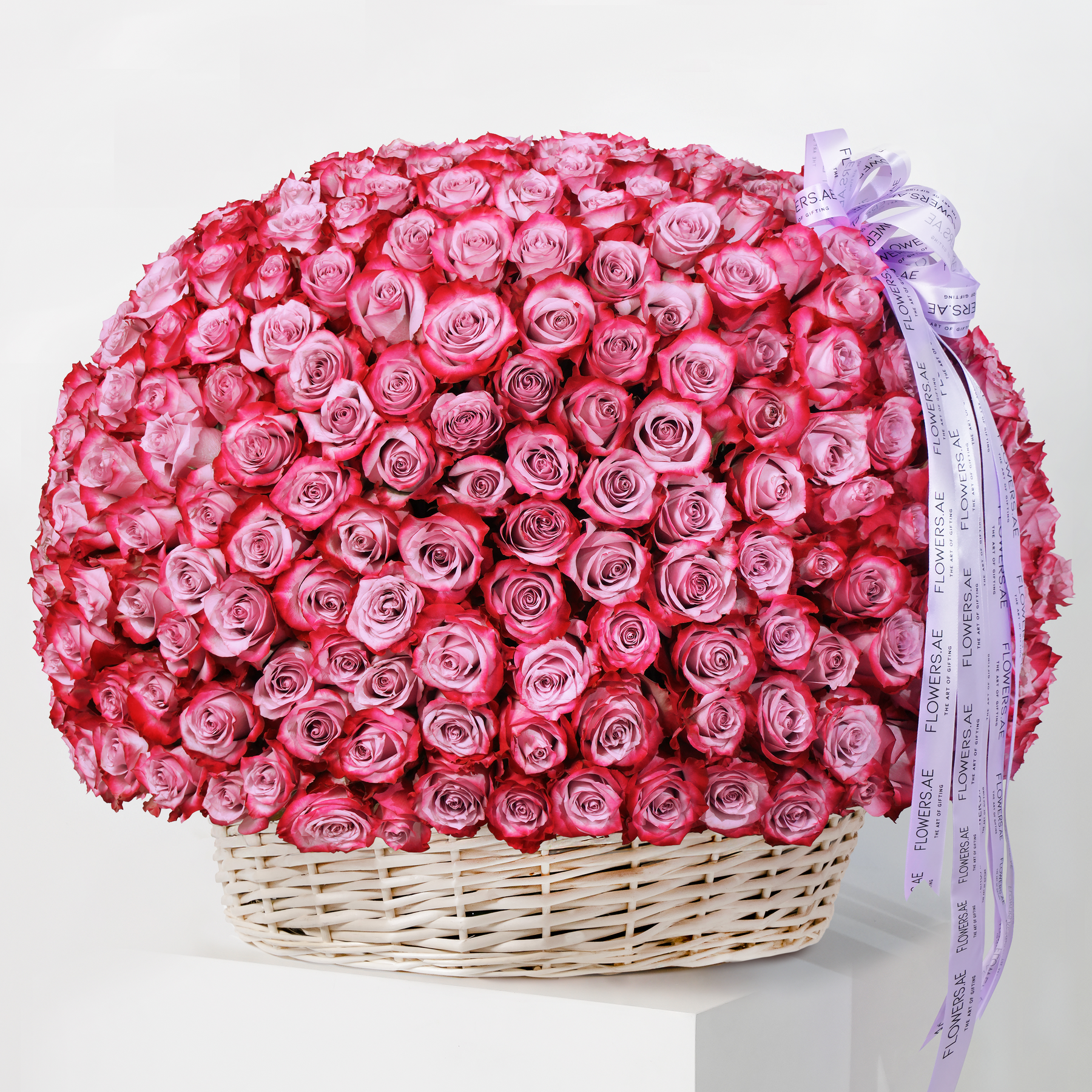 Purple Rose Collection