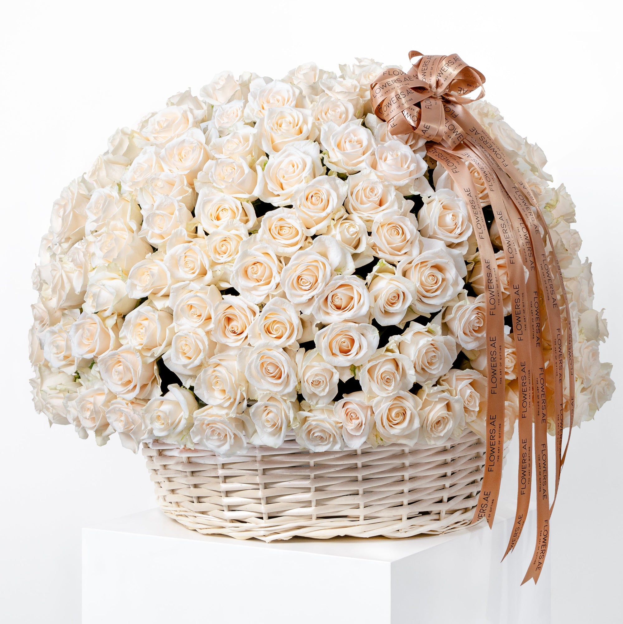 Rose Collection Rose Flowers Flowers.ae