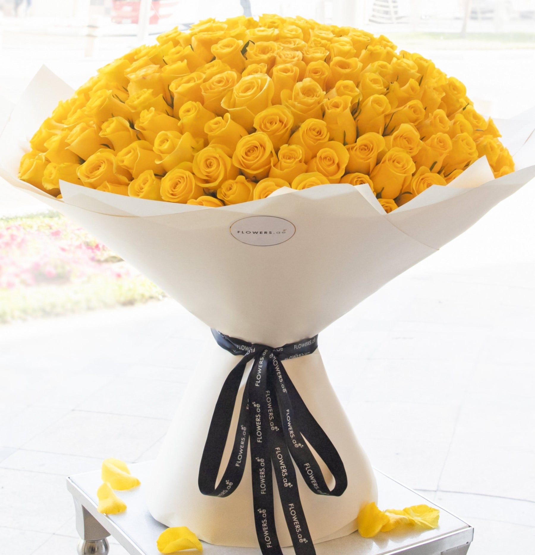 Get Well Soon Flowers
