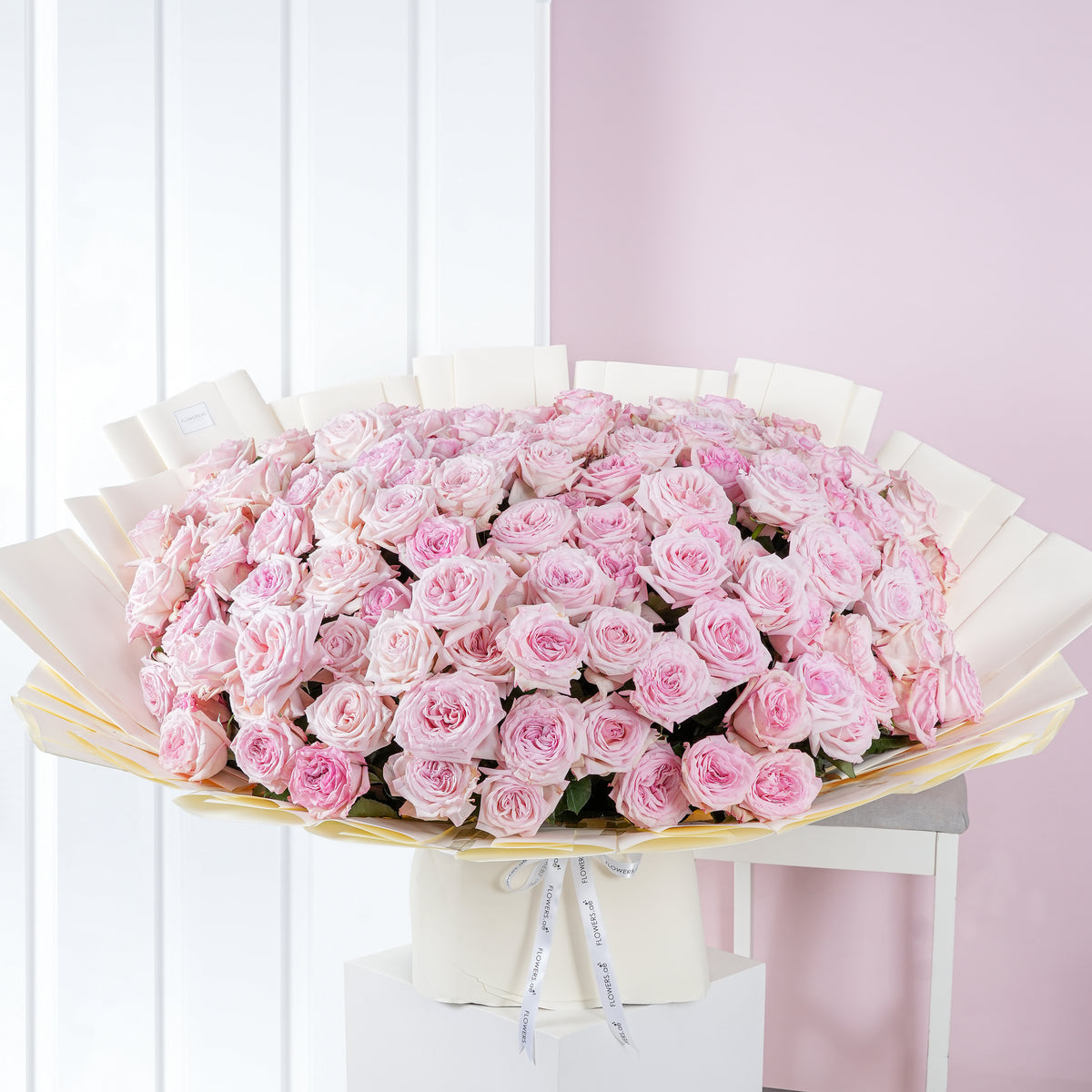 100 O&#39;hara Roses