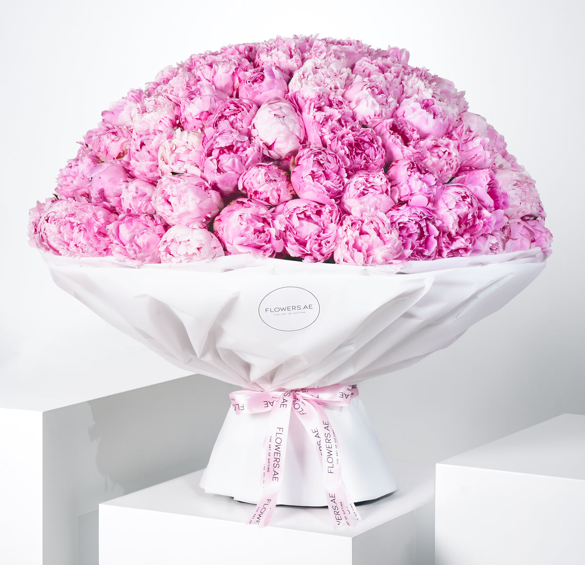 100 Pure Pink Peony