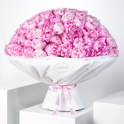 100 Pure Pink Peony
