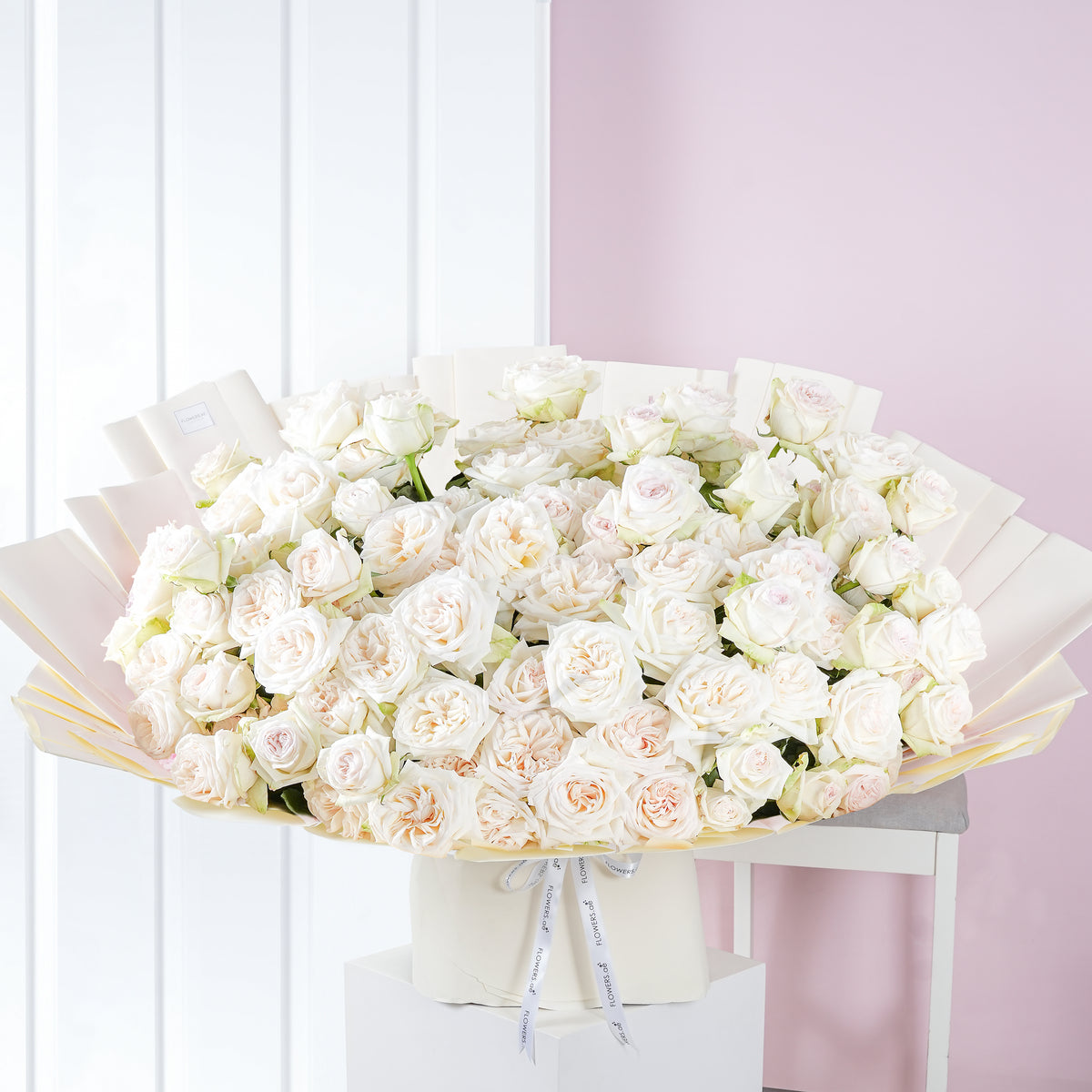 100 O&#39;hara Roses