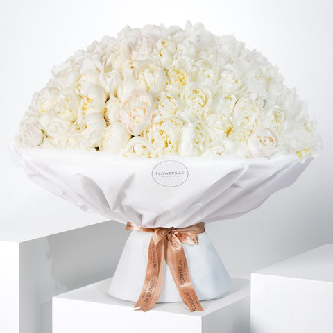 100 Pure White Peony