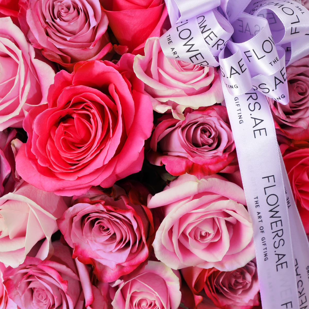 100 Blush Roses Basket