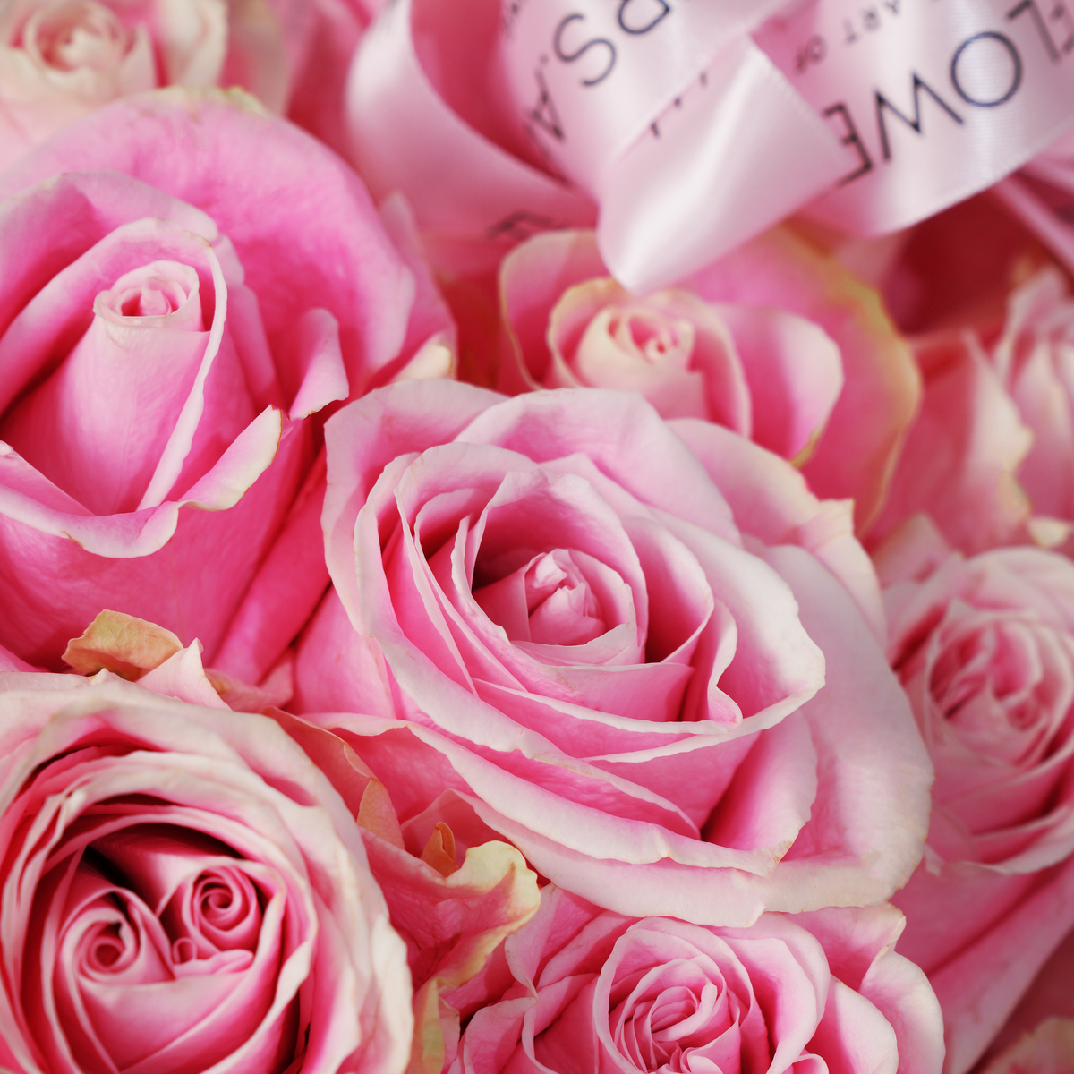 100 Pink Roses Basket
