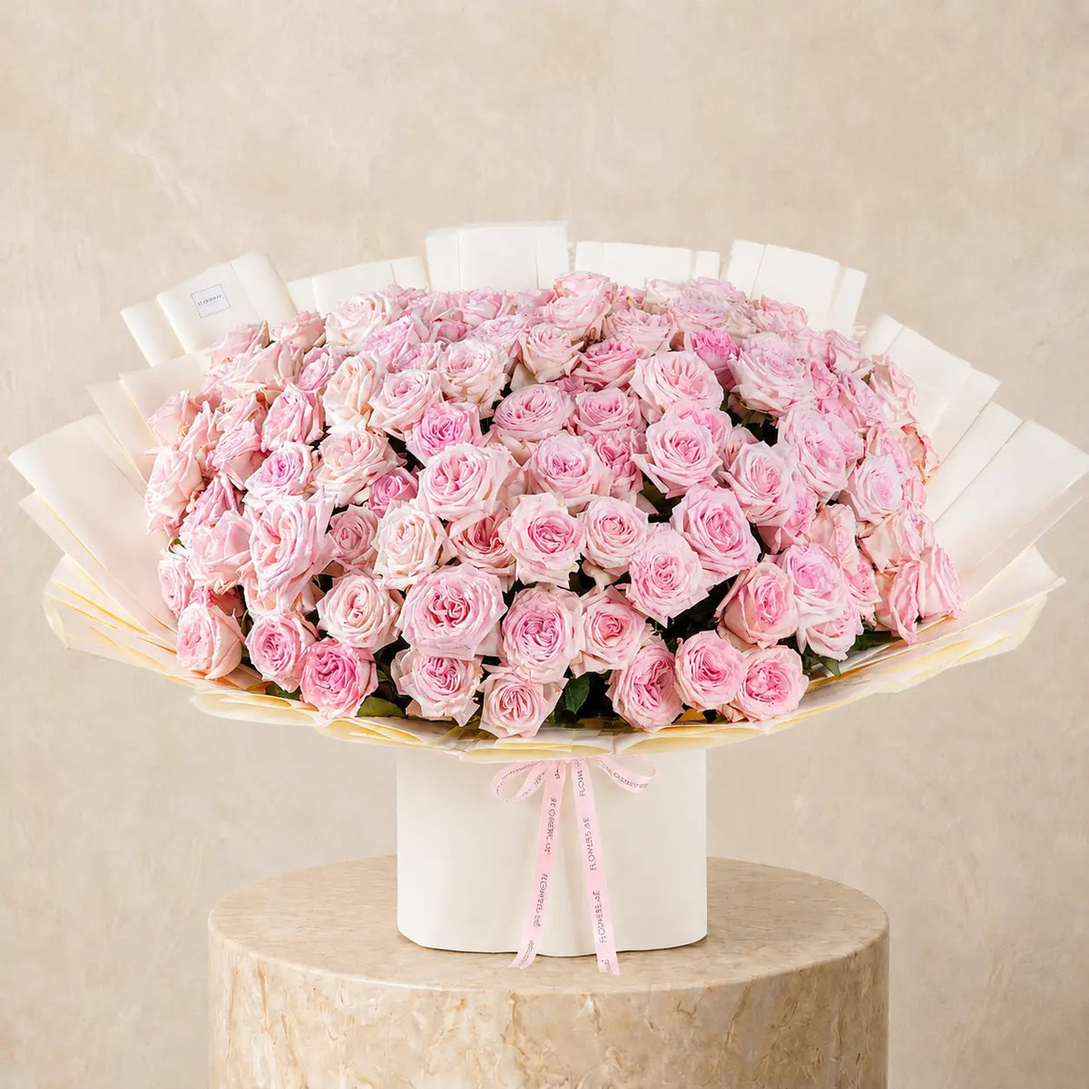 100 Pink O'hara Grand