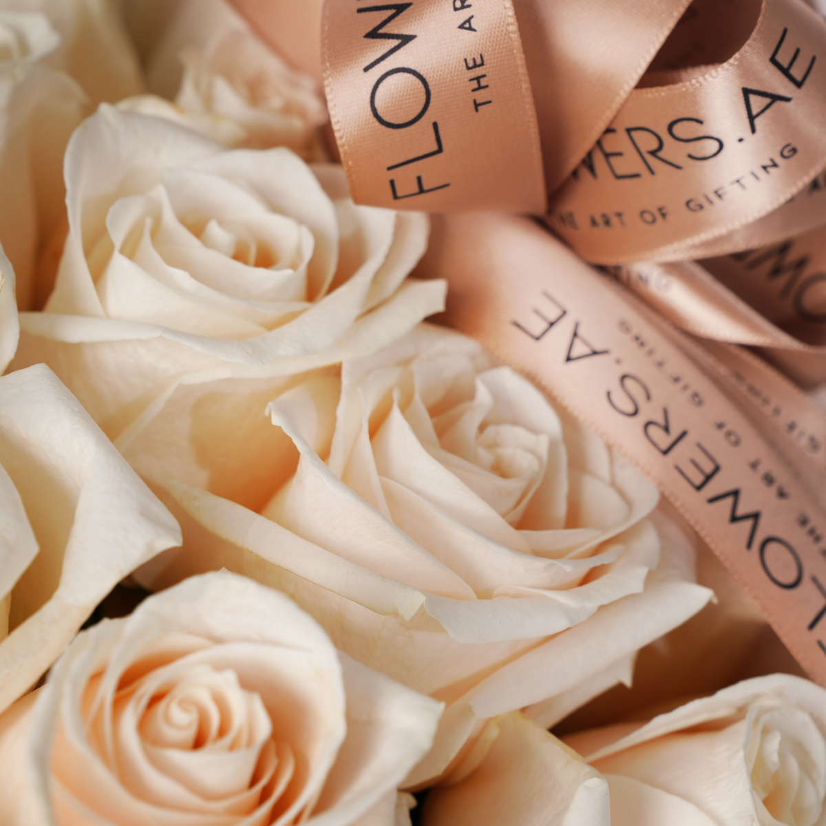 Valentine 365 White Roses Basket