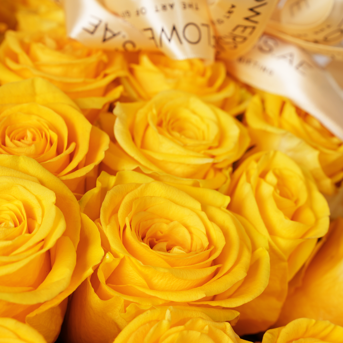 100 Yellow Roses Basket