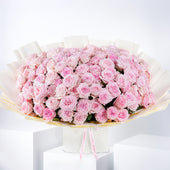 100 Pink O'hara Grand