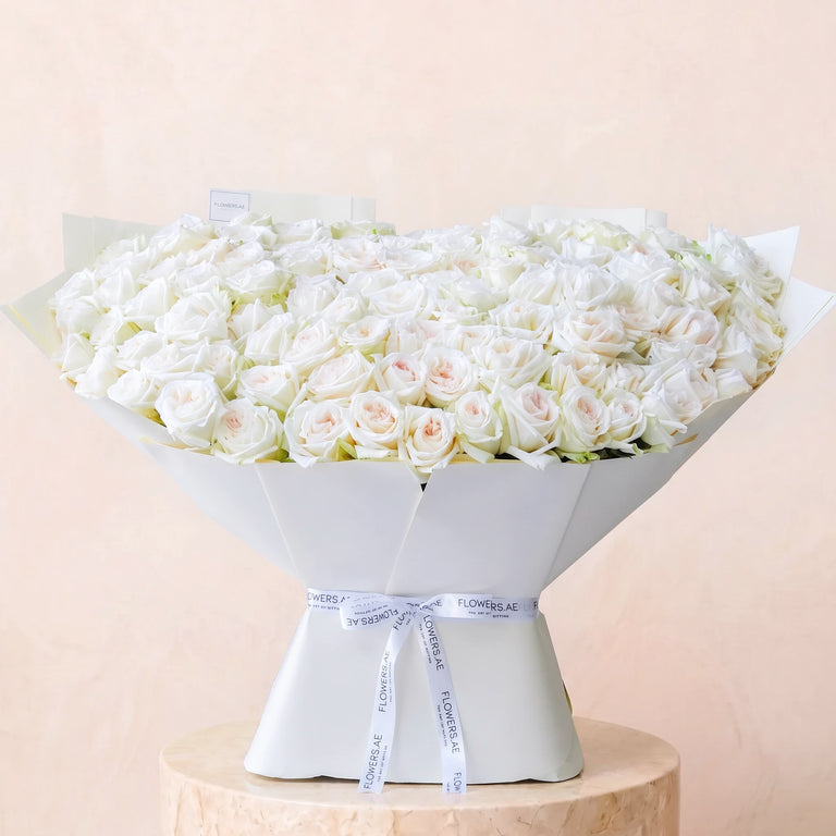 100 White O'hara Grand