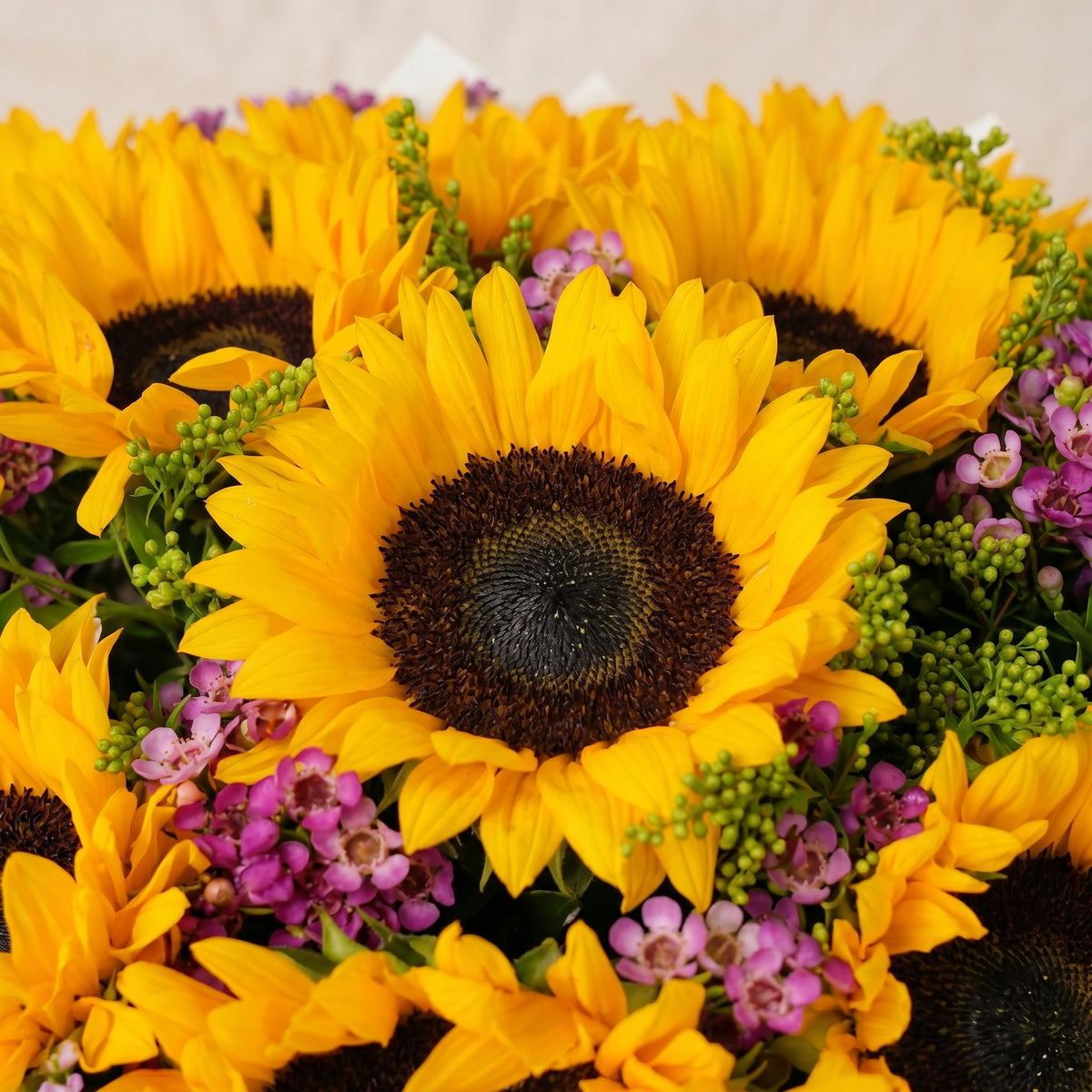 Father's Day 12 Sunflowers