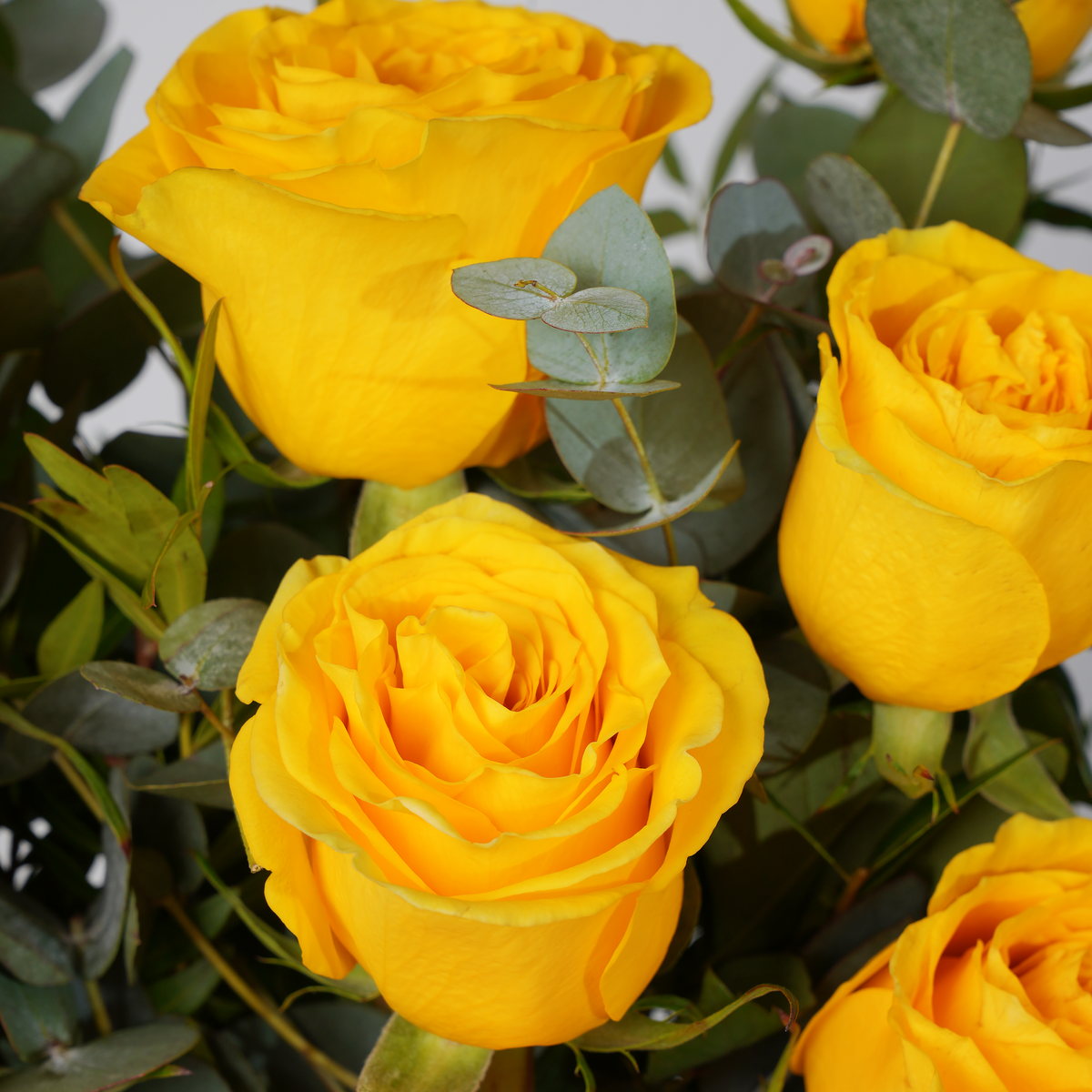 12 Yellow Roses Vase