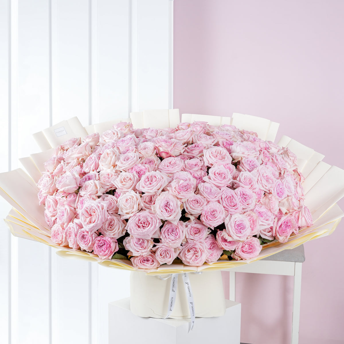 150 O&#39;hara Roses