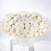 150 White O'hara Grand