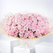150 Pink O'hara Grand