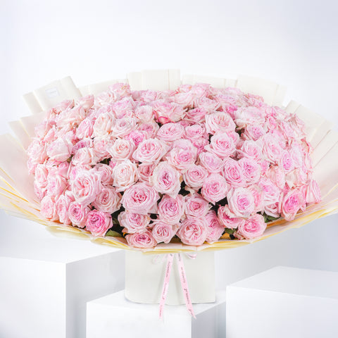 Anniversary 150 Pink O'hara Grand