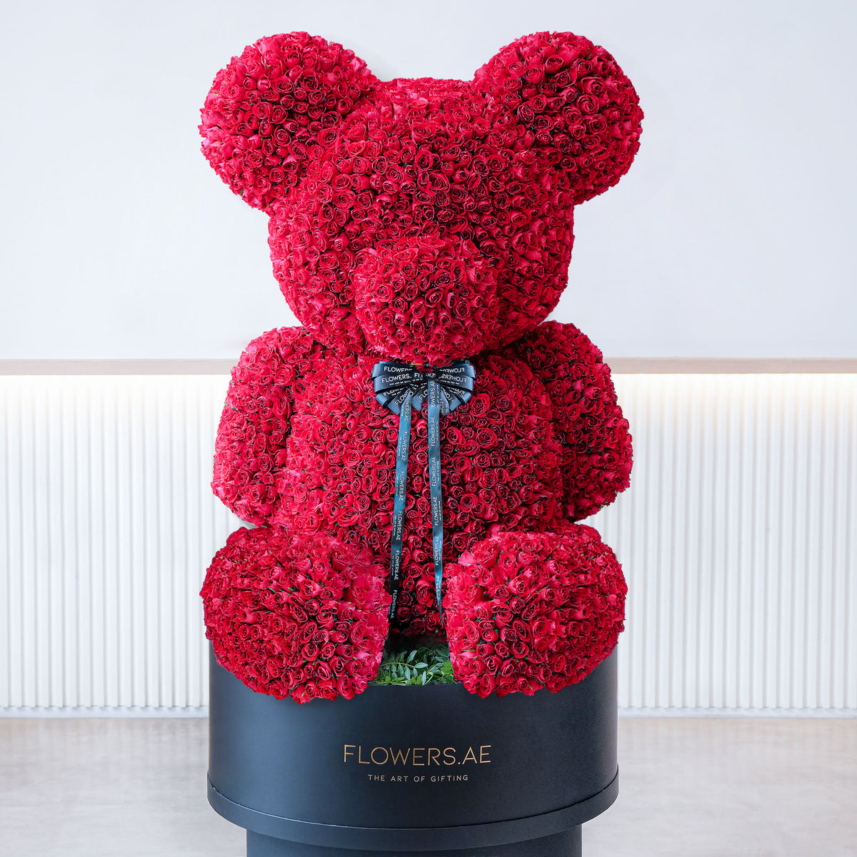 Teddy