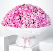200 Pure Pink Peony
