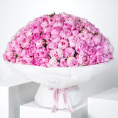 200 Pure Pink Peony
