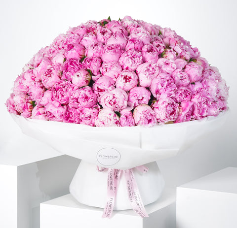 200 Pure Pink Peony