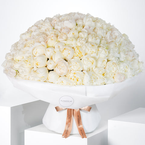 200 Pure White Peony
