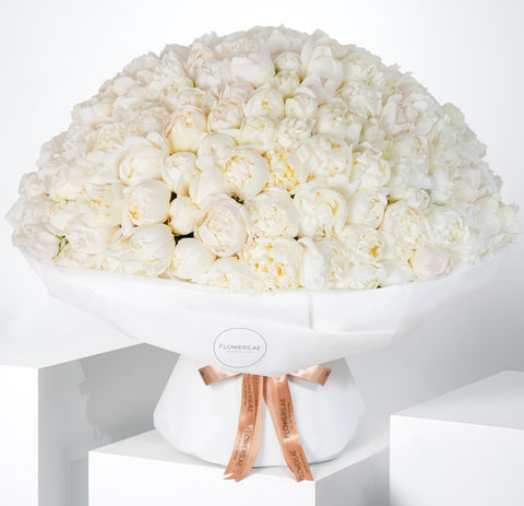 200 Pure White Peony