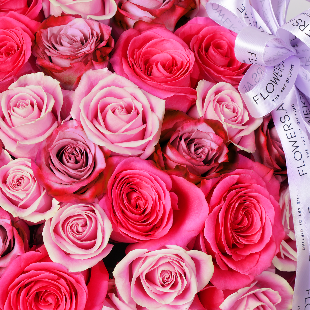 200 Blush Roses Basket