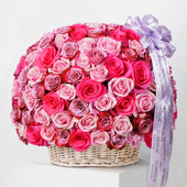 200 Blush Roses Basket