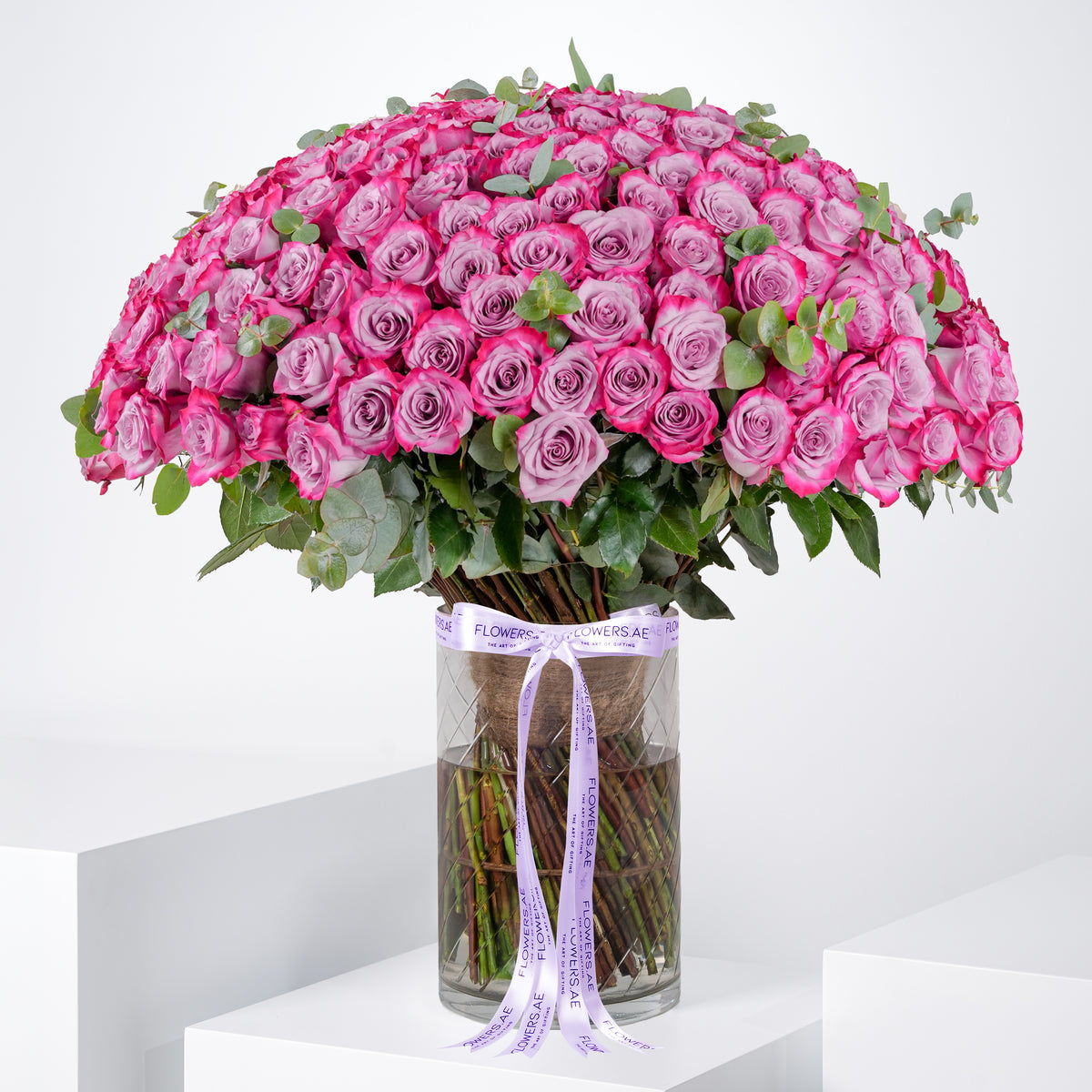 Valentine 200 Purple Roses Vase