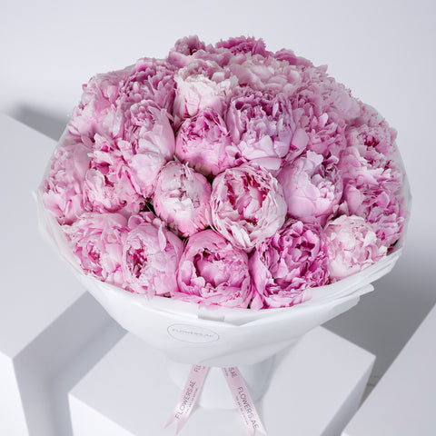 25 Pure Pink Peony