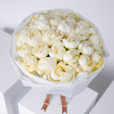 25 Pure White Peony