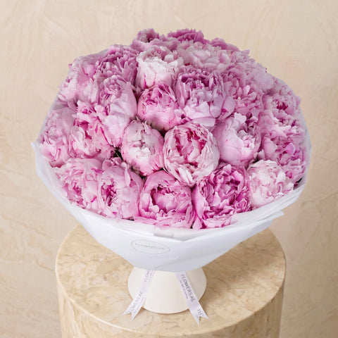 25 Pure Pink Peony