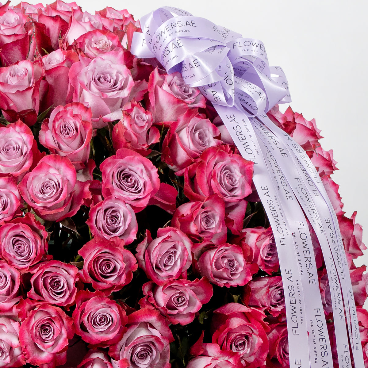 Purple Roses Bucket 200 Purple Roses Basket | Free Same-Day Delivery to all Emirates ...