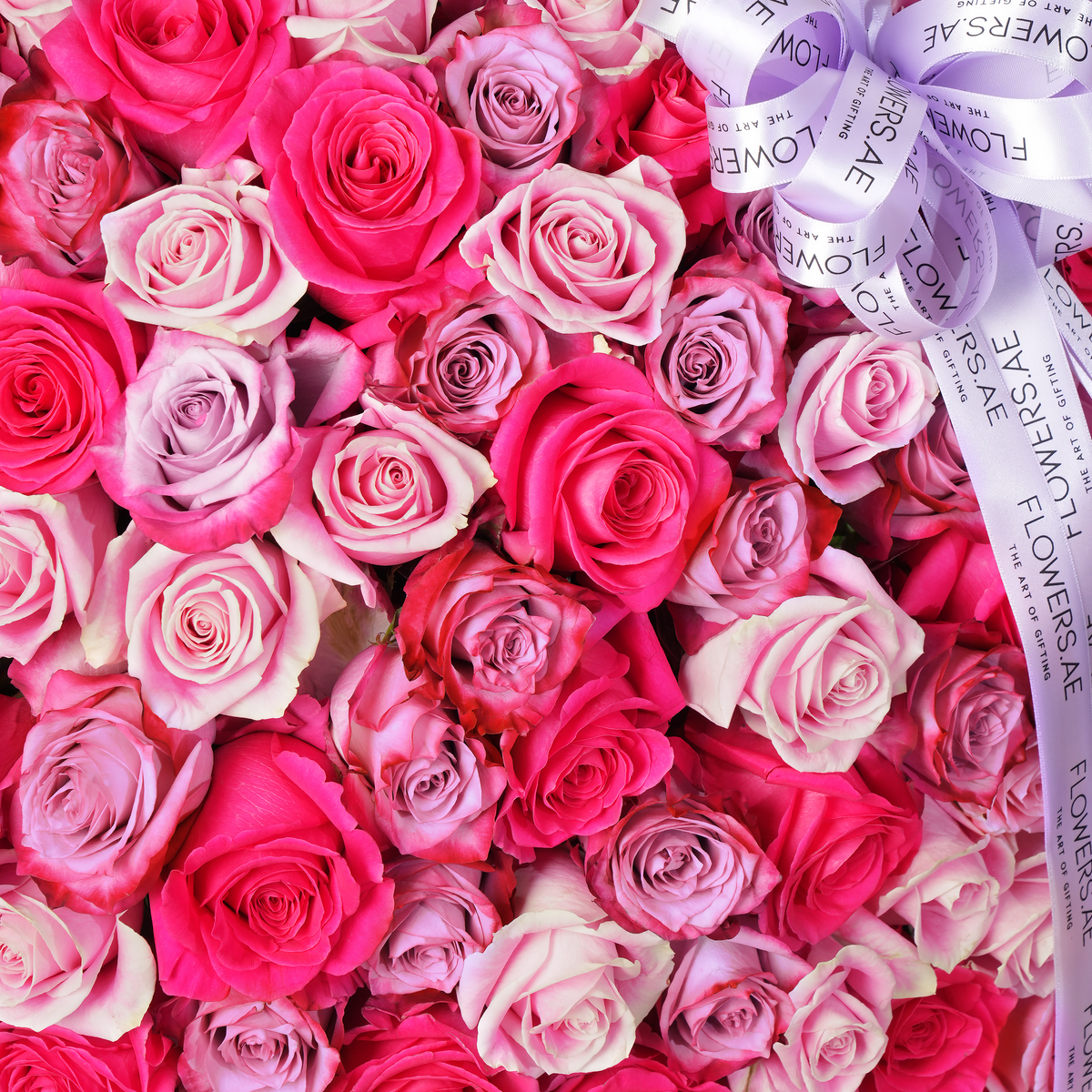 365 Blush Roses Basket