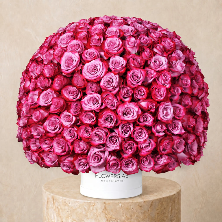 365 Purple Roses Hatbox
