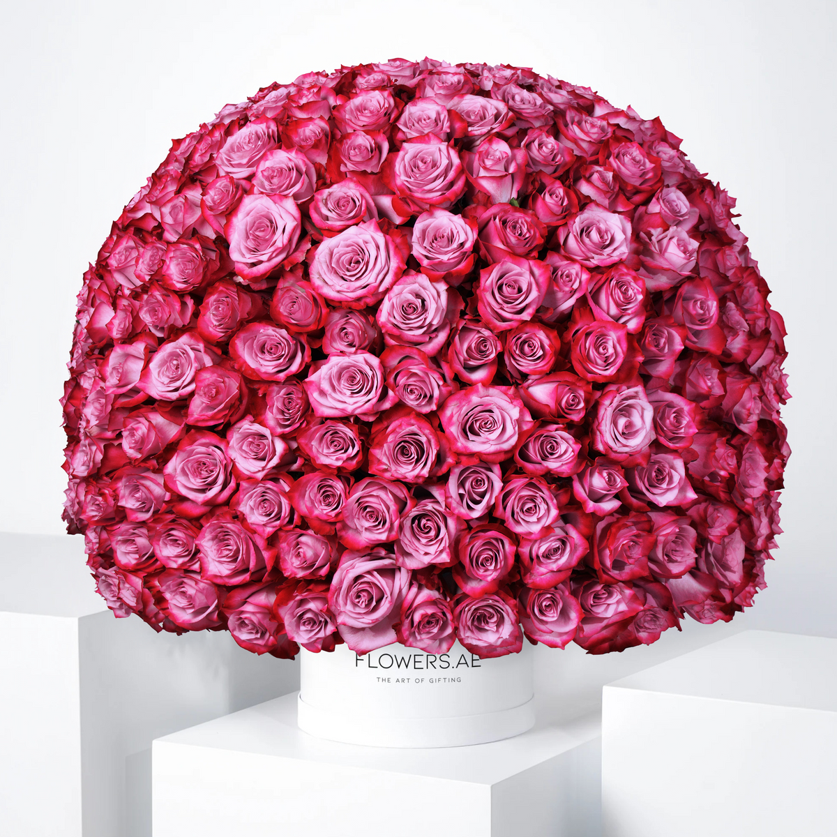 365 Purple Roses Hatbox