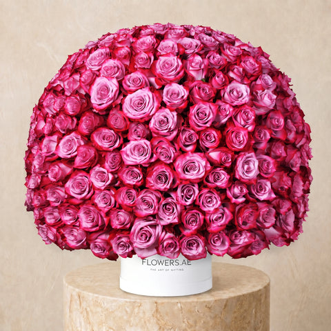 365 Purple Roses Hatbox